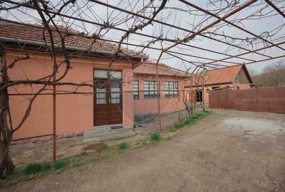 De vanzare Casa + Teren 2685 mp Intravilan, Betfia, Bihor - 19