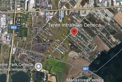 Teren 784mp in Cernica pretabil pt casa - 2