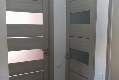 Garsonieră nedecomandată în Vasile Aaron - 2