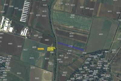 Teren Extravilan Banca, ID: R2805492 - 15