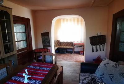 Casă cu 4 camere cu Teren 7720 Mp în Brătești - 8