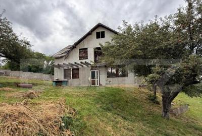 Casa etaj, 140 mp utili, 4800 mp teren, Adancata - 2