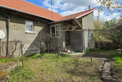 Casă cu 3 camere cu Teren 3863 Mp în Batiz - 19