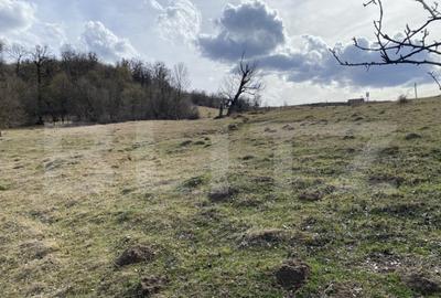 Teren extravilan in suprafata de 7500 mp la poalele Mesesulu - 2