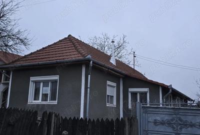 Casa de vanzare in Tasad - 9