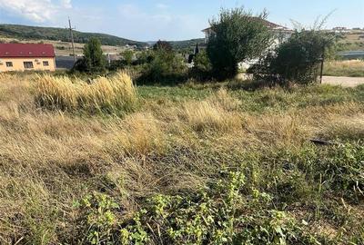 RECO Teren pentru constructie bloc 5 nivele- Baile Felix - 7
