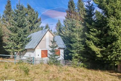 Casă cu 3 camere cu Teren 860 Mp în Băișoara - 5
