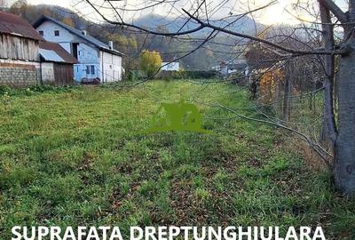 Teren intravilan Calimanesti-Seaca cu acces la DN latime 19ml - 2