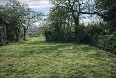 Spațiu comercial, de 351 mp, în Central - 4