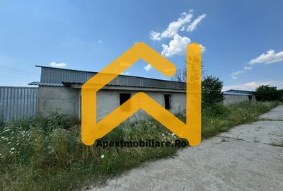 Spațiu comercial, de 1,100 mp, în Băicoi - 9