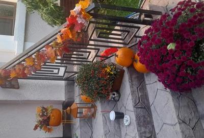 Casa deosebita impecabila - 3