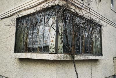 Casă cu 4 camere în Bordenii Mari - 2