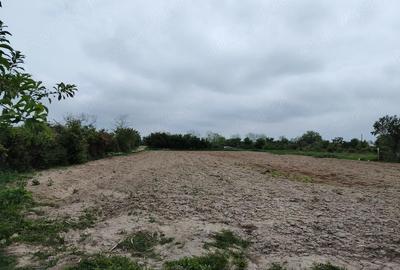 Casă cu 3 camere cu Teren 3300 Mp în Săbiești - 4