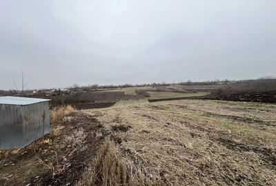 Casă cu 4 camere în Păuleasca - 3