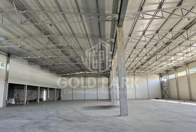 Spatiu Industrial - Baciu - 1400 mp - Plaftorma Betonata - Acces TIR - 4