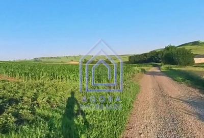 Teren de 7400 mp, în Moara