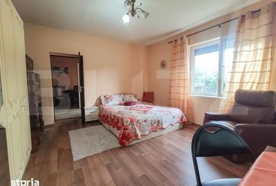 Casă cu 3 camere cu Teren 24000 Mp în Micula - 14
