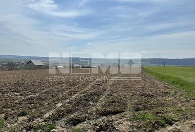 Teren De Vanzare I Patrauti Suceava I Pret: 15EUR /mp - 4