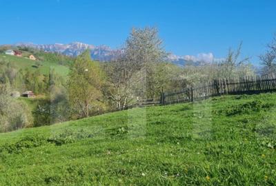 Vila superba Magura- Brasov , destinatie pensiune 6 camere 5 - 15