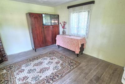 Casa tradi?ionala ?i teren generos, in comuna Dragu?e - 7