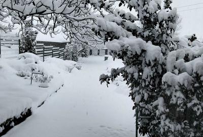 Casă cu 4 camere în Berca - 5