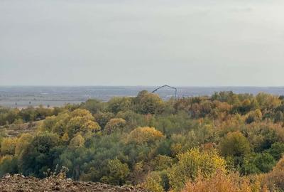 Teren în Viforâta - 2