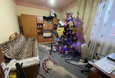 Caransebes, 2 Camere, Dec., Zona Sesu Rosu - 5