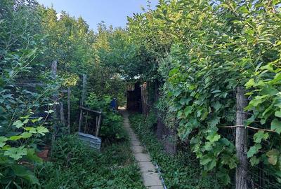 Casă individuală cu 8 camere cu Teren 744 Mp în Ilidia - 22