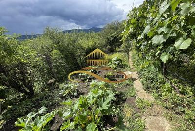 Casa de vanzare Moinești zona Magura vedere panoramica - 20