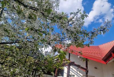 Casă cu 4 camere în Bucium - 1