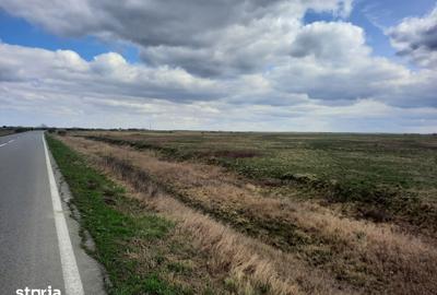 Teren de 13000 mp, în Sânmihaiu Român - 2