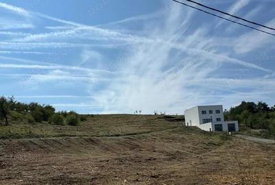 Teren de 650 mp, în 700 - 1