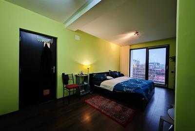 Vila S+P+1+M-318 m2 utili cu 1820 m2 teren situata vis a vis Lidl,Penny,Kaufland - 35