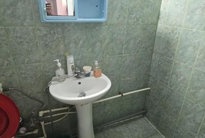 Garsoniera Nicolae Dobrin, parter - 3