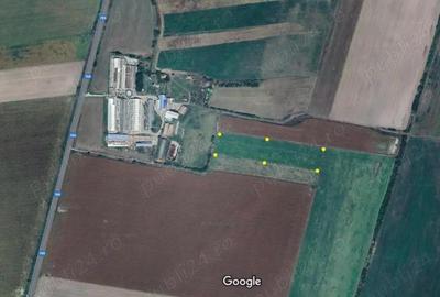 Teren arabil 11500mp, Pancota , Jud. Arad - 1