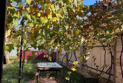 Vand casa in Targu Neam? - 10