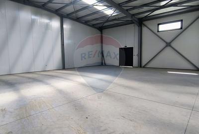 Spațiu industrial, de 595 mp, în Sud - 13