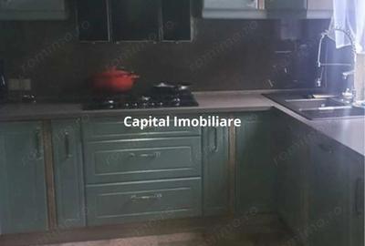 House for sale, 4 Rooms, 200 sqm, 630 sqm, Satu Mare - 7