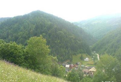 Casă cu 4 camere cu Teren 2000 Mp în Vale - 2