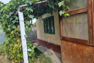 Vand schimb casa aproape de Dunare, muntii Macinului, zona viticola - 5