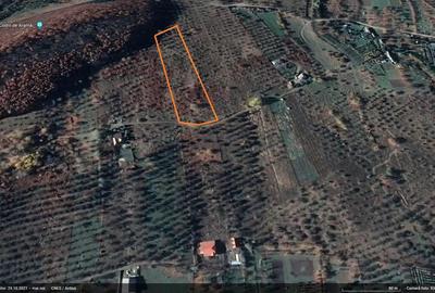 Teren de 6000 mp, în Filioara