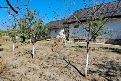 Giurgiu Loc de casa la 27 km de Bucuresti, 1265mp - 6