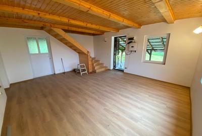 Casa Noua + Cabana , 7000 m2  Ocazie Unică - 3