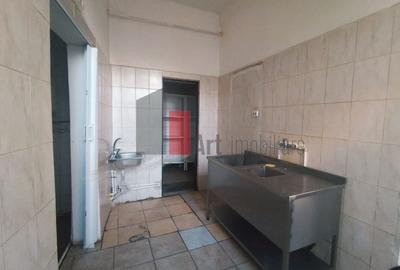 URGENT!, Parcul Carol, DESCHIDERE MARE, COMERCIAL/BIROURI, NEGOCIABIL - 22