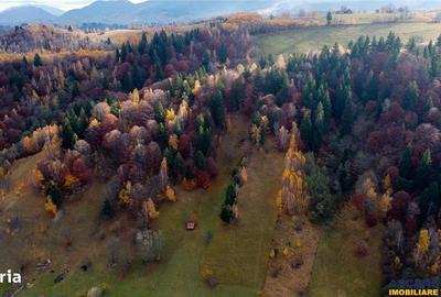 Spațiu comercial, în Drumul Carului - 8