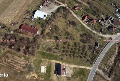 Teren de 6650 mp, în Remetea Chioarului - 8