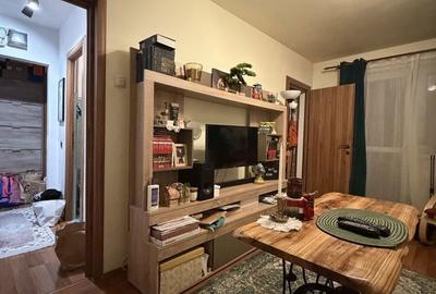 Apartament cu 3 camere semidecomandat în Valea Rosie - 1