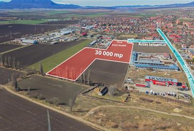 Teren agricol intravilan de 30000 mp, în Hălchiu - 1