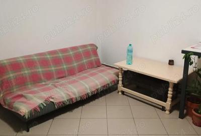 Apartament cu 2 camere semidecomandat în Clinceni - 6