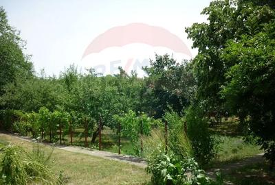 Casă cu 5 camere cu Teren 1922 Mp în Ciofliceni - 2